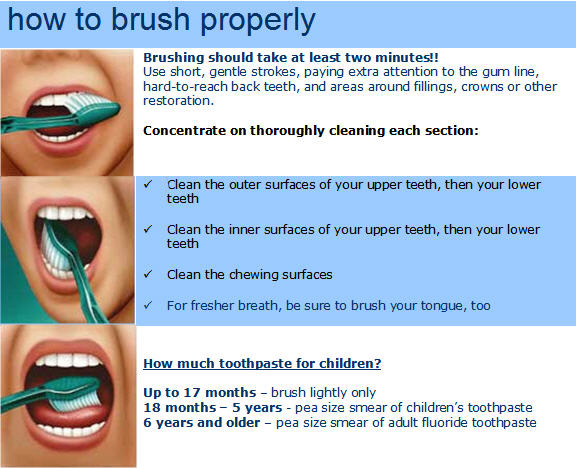 How to brush your teeth according to th ADA from Hooper Tooth Conserving Dentistry in Rose Bay, Sydney